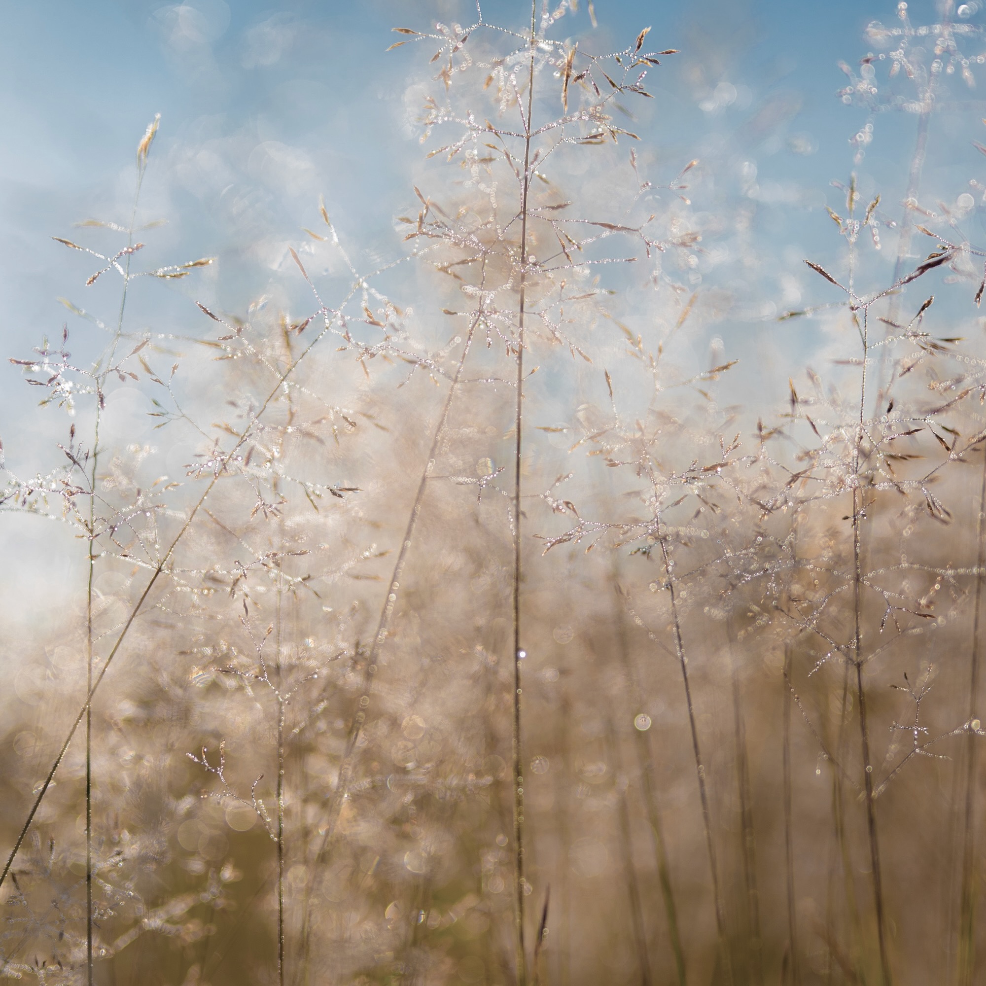 Psychotherapie Burnout